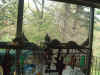 birdstt.JPG (96173 bytes)