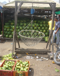 Watermelon scales, markets