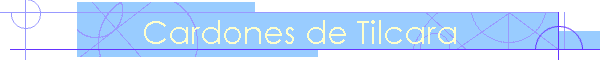 Cardones de Tilcara