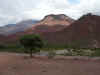 Cafayate04.jpg (72504 bytes)