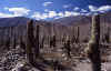 tilcara1jpg.jpg (106989 bytes)