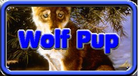 wolf pup's license