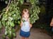 julia_tree