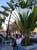 DSC00084
