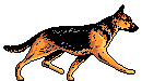 cachorro.gif (10263 bytes)