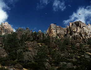 Condor Gulch