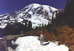 Mt. Rainier