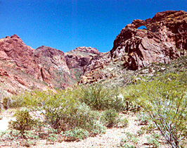 Arch Canyon