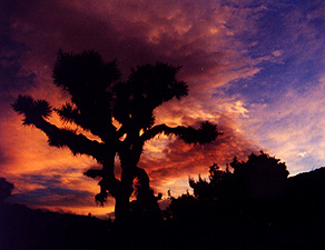 Sunset at Black Rock Canyon