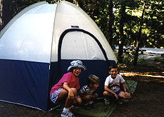 Dogwood Campground