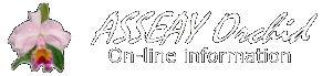 Join the ASSEAY Orchid cyber information now