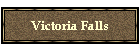Victoria Falls