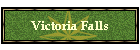 Victoria Falls