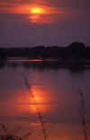 atardecer-zambezi.jpg (30993 bytes)