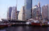 NY35.jpg (57729 bytes)