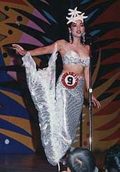 Native Spectacular Costume