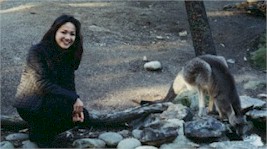 Kangaroo!