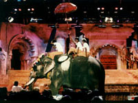 Elephants Opening the Miss World Pageant