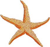 images03.gif