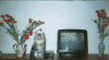 max3.gif (147959 bytes)