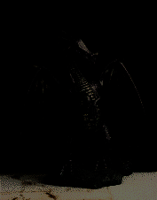 dragon-standing