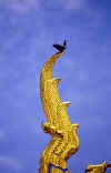 bpagoda2.jpg (51252 bytes)
