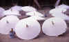 sombrillasblancas.jpg (51752 bytes)