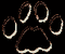 cats imprint