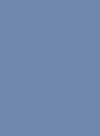 bgcolor