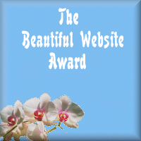 beautiful website award