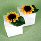 sunflower boxes