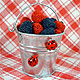 blueberries & strawberries gumdrops