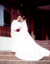 29.gif (153314 bytes)
