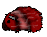 Weepiggy