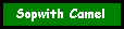 camelbtn.gif (1151 bytes)