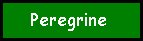 Peregrine