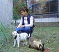 My mom and both cats on their fortnightly (biweekly) walk