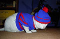 Cute Kengee while we played dressup
