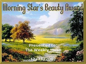 Morning Star's Awards