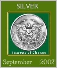 Silver Award