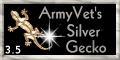 Silver Award