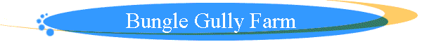 Bungle Gully Farm
