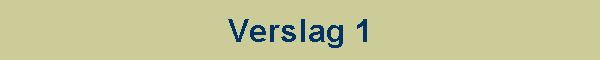 Verslag 1