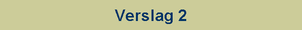 Verslag 2