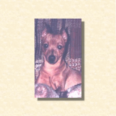 Pictured Here At 10 Months 