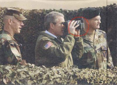 Bush