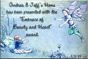 Embrace Award