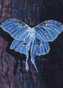 an acrylic painting A4 size