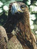 An A3 sized 
Acrylic on paper