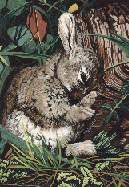 Aint he cute? A4 watercolour on paper